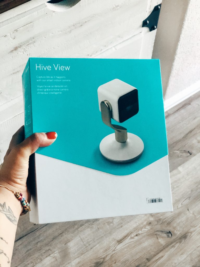 hive indoor camera