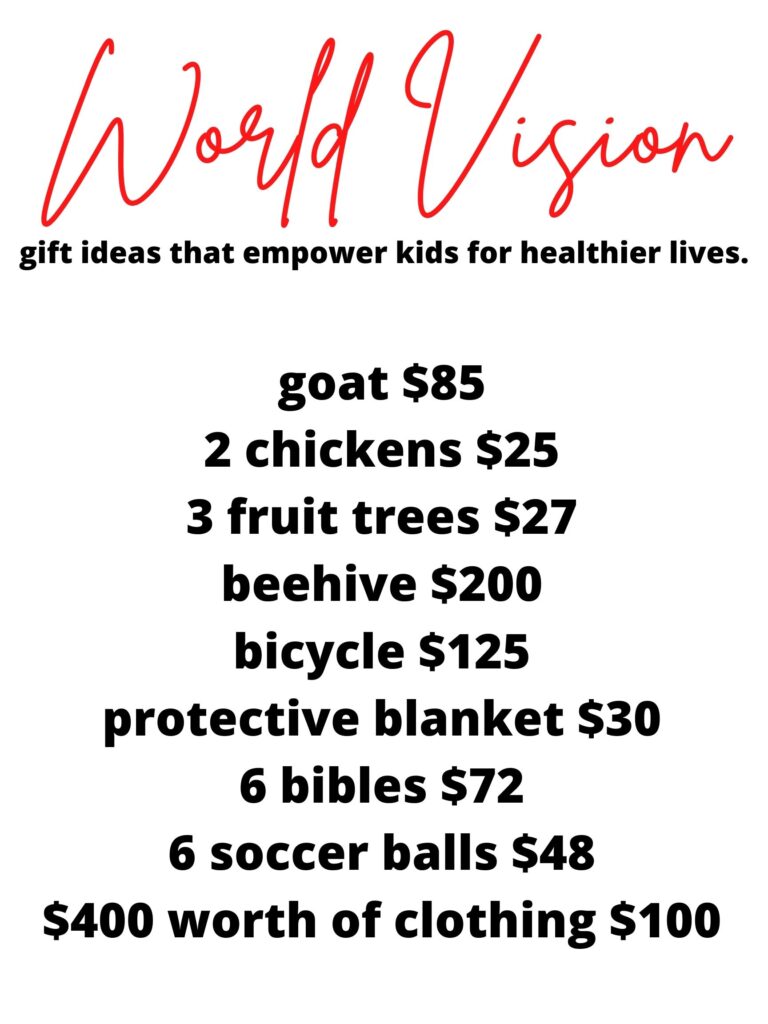 World Vision Christmas gift that can change a life